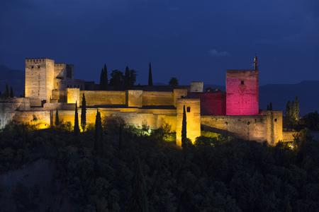 Día Internacional de la Niña - Alhambra de Granada